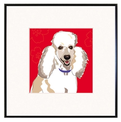 Framed Print: Poodle, White Smile