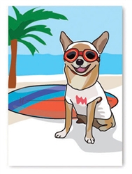 Birthday: Corgi Surfing