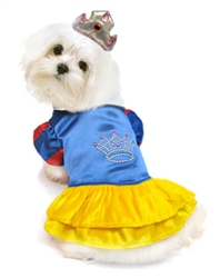 Snow Princess Costume