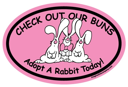 Adopt a Rabbit Today Oval Magnets
