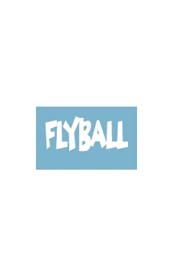 Car Window Decals - Flyball