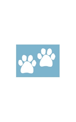 Car Window Decals - Two Paws