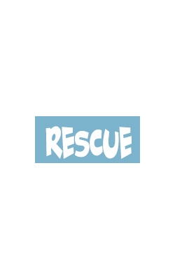 Car Window Decals - Rescue