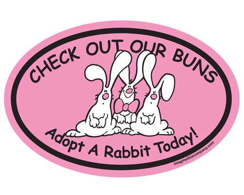 Check Out Our Buns… Adopt a Rabbit Today!