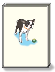 Boston Ball - DogPride Boxed Notes