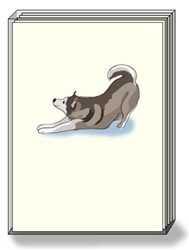 Husky Stretch - DogPride Boxed Notes