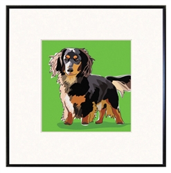 Framed Print: Dachshund, Longhair