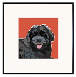 Framed Print: Porty Head #2