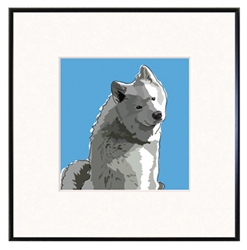 Framed Print: Samoyed