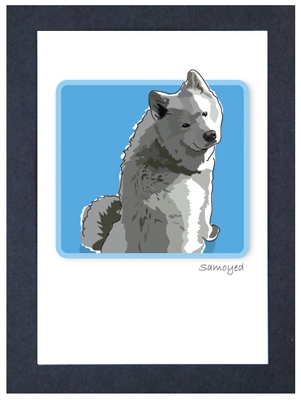 Samoyed Sitting - Grrreen Boxed Note Cards