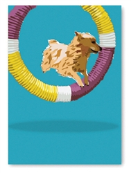 Birthday: Jumping Tire