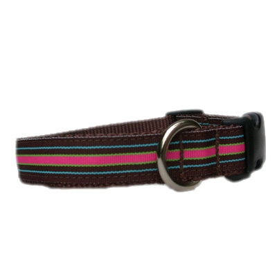Bahama Mama Stripe Grosgrain Collection