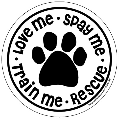 Train Me - Love Me - Spay Me - Rescue - White