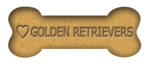 Biscuit Bones Magnets - Golden Retrievers