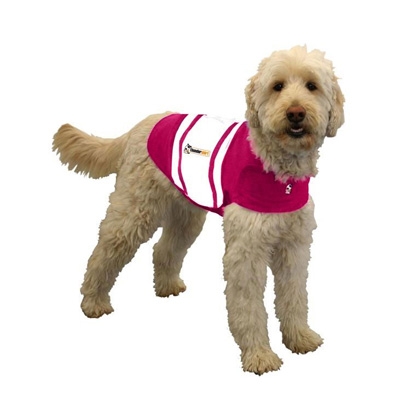 Thundershirt - Pink Rugby 