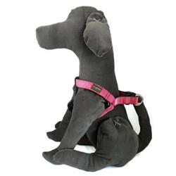 Extra Product Image