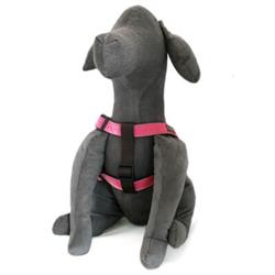 Extra Product Image