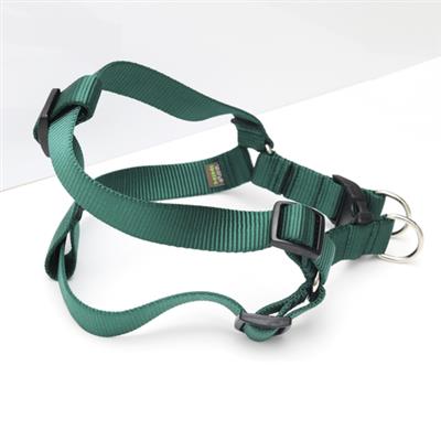 Hunter Green Solid Nylon Webbing Dog Harness