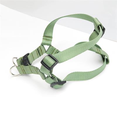 Sage Green Solid Nylon Webbing Dog Harness