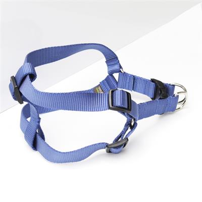 Sky Blue Solid Nylon Webbing Dog Harness