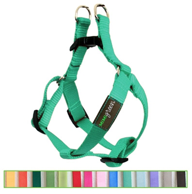 Teal Solid Nylon Webbing Dog Harness