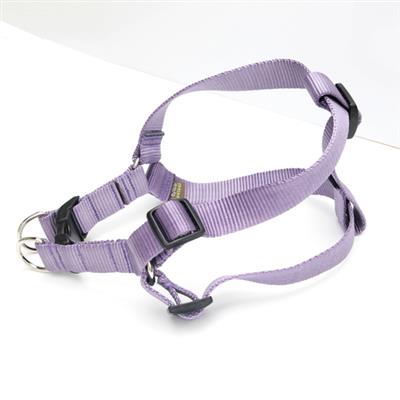 Grape Solid Nylon Webbing Dog Harness