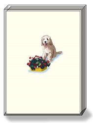 Doodle Flowers - DogPride Boxed Notes