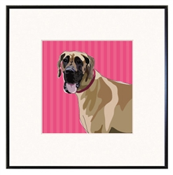 Framed Print: Great Dane, Fawn