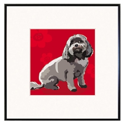Framed Print: Shihpoo