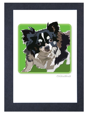 Chihuahua, Long Hair - Grrreen Boxed Note Cards