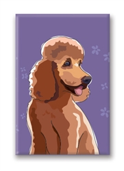 Poodle, Amber  - Fridge Magnet