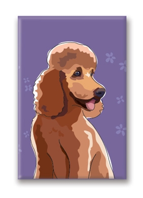 Poodle, Amber  - Fridge Magnet