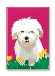 Coton de Tulear - Fridge Magnet