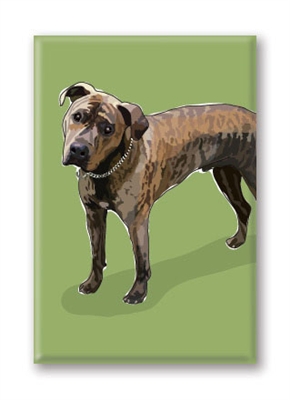 Pit Bull, Brindle - Fridge Magnet