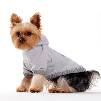 Bear Attack Sweatshirt