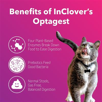 OptaGest® | Digestive solution for Dogs & Cats