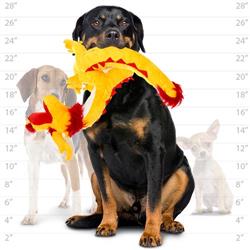 Extra Product Image