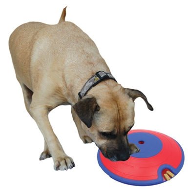 Dog Treat Maze - Nina Ottosson Interactive Plastic Toy