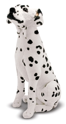 Extra Product Image