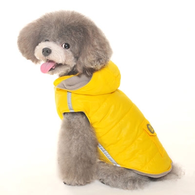 Dashing Dog Parka