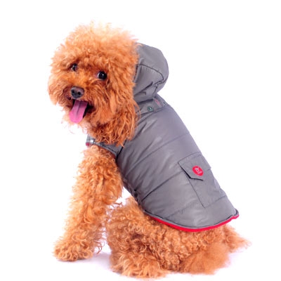 Dashing Dog Parka