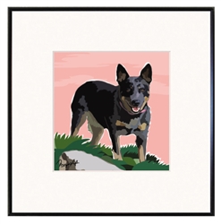 Framed Print: Aussy Cattle Dog