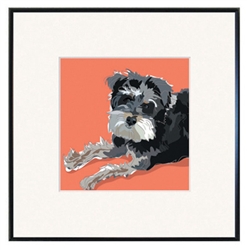 Framed Print: Schnoodle