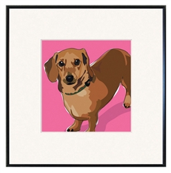 Framed Print: Dachshund Standing, Fawn