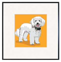 Framed Print: BichPoo