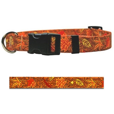 Fall Leaves Collection