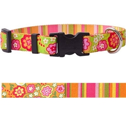 Extra Product Image