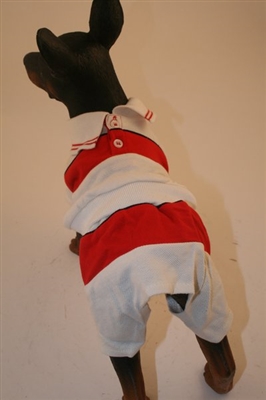 Polo Red Set