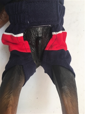 Blue & Red Polo Set (back shirt placket)