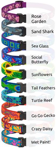 LupinePet® 3/4" Originals EZ pack (6 pc. collars and leashes)
